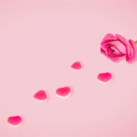 서울 강남구 스웨디시 제이 매장 사진