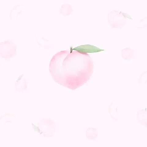서울 중랑구 모모왁싱 매장 사진