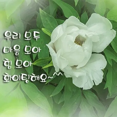 서울 서대문구 왁싱 비비 매장 사진