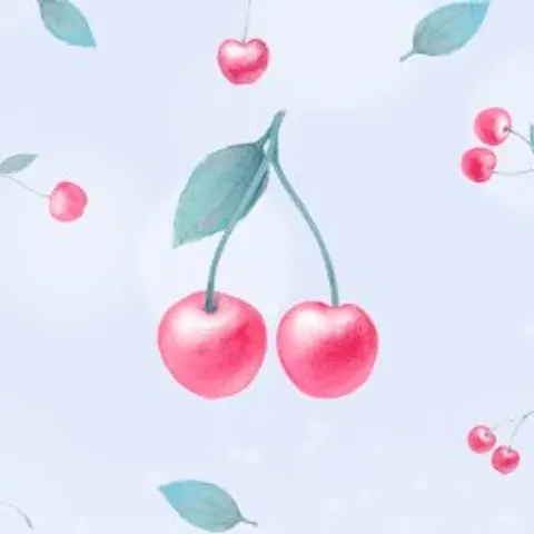 서울 동대문구 체리 매장 사진