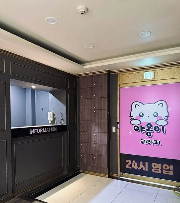야옹이테라피 매장 사진 5