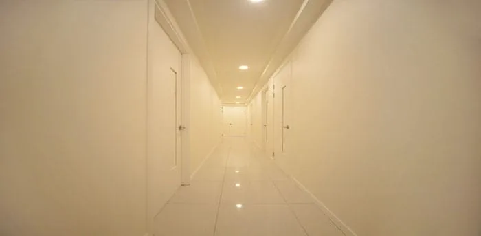 청담 더데이 매장 사진 3