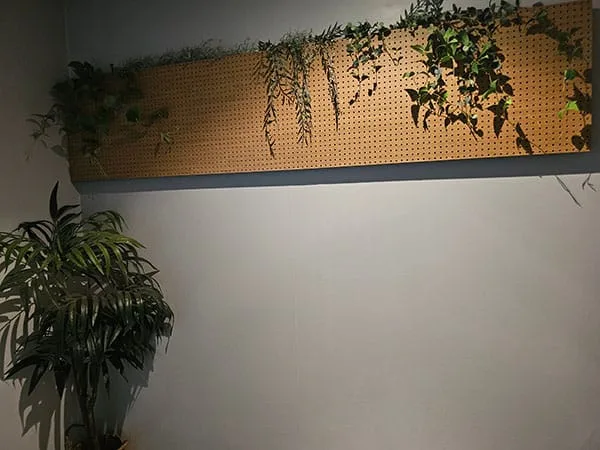 뉴힐링 매장 사진 4