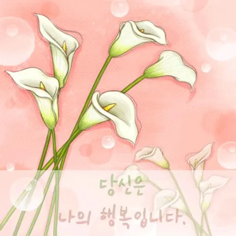 충남 천안시 카라 매장 사진