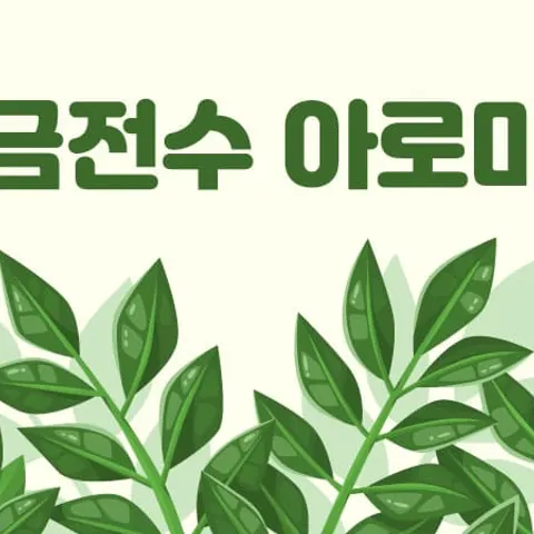 전북 전주시 스포츠 금전수아로마 매장 사진