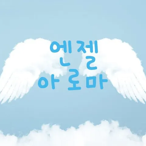 전북 전주시 아로마 엔젤아로마 매장 사진