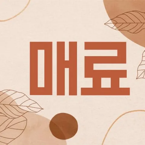 부산 부산진구 스웨디시 매료 매장 사진